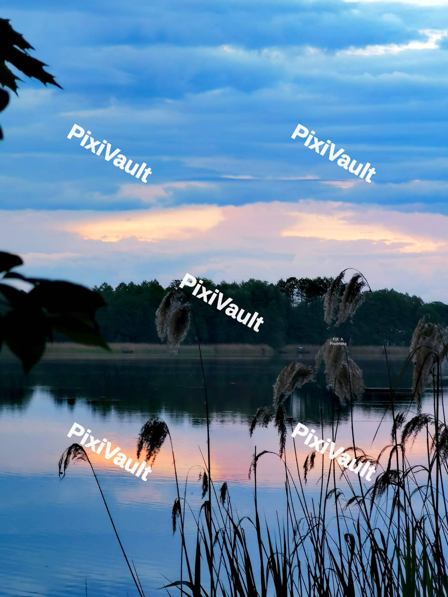 Lake view